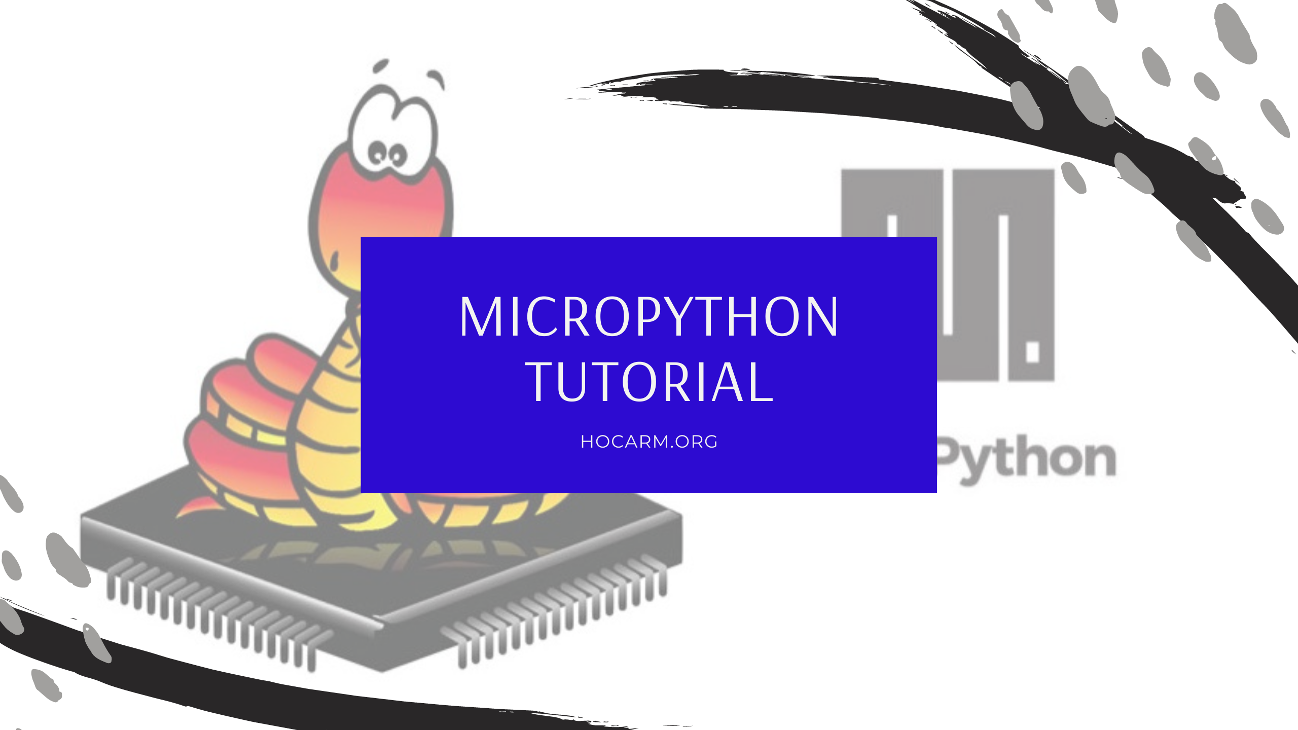 Học Micropython cơ bản | Học ARM